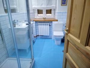 a bathroom with a toilet and a sink and a shower at La Casa de Santa Olalla in Molledo