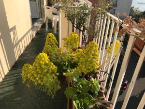 Ogród w obiekcie Magia nel golfo del Tigullio