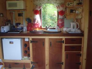 'Morris' the shepherd's hut and woodland hot tub experience的厨房或小厨房