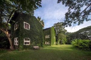 a building covered in ivy with a bench in front of it at Kaomai Lanna Resort in San Pa Tong