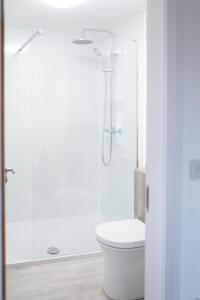 y baño con ducha y aseo. en BallyCairn Self Catering Studio, en Larne