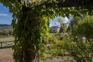 Foto dalla galleria di Villa Lavanda a San Venanzo