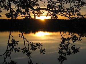 Náttúran í nágrenni villunnar