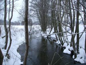 Náttúran í nágrenni villunnar