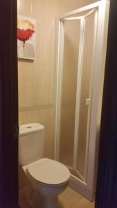 a bathroom with a toilet and a shower at Habitacion con baño privado in Santa Cruz de Tenerife