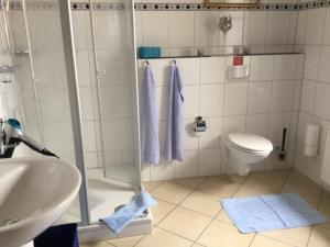 ein Bad mit einer Dusche, einem WC und einem Waschbecken in der Unterkunft Theodor Storm Unterkünfte 1 in Husum