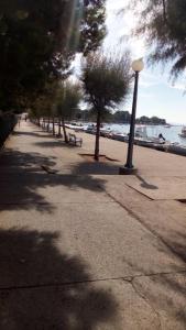 a sidewalk with a light pole and trees on the beach at Vila Zlata in Punat