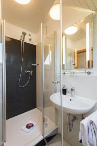 a bathroom with a shower and a sink at Gästehaus Edith, 4-Sterne, 2-4 Personen in Trittenheim