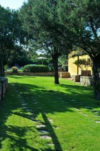 a shadow of a tree on a grass field at Hotel Il Piccolo Golf in Porto Cervo