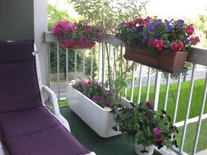 第戎的住宿－Chambre d'hôtes dans Résidence， ⁇ 上种有鲜花和盆栽植物的阳台
