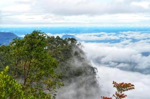 旅馆周边自然景观