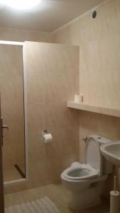 a bathroom with a toilet and a sink and a shower at Zielone Domki in Nowy Zyzdrój +33 photos