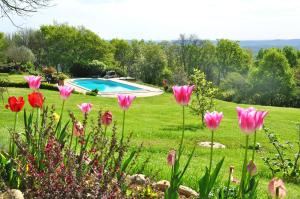 a garden with pink flowers and a swimming pool at le gite du CASTELBOSC in Hagedet