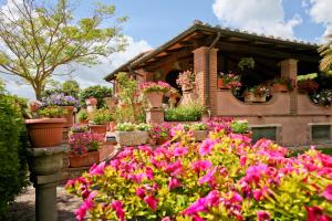 Foto dalla galleria di Agriturismo Da Lorena a Marsiliana