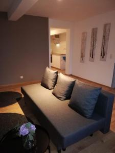 a couch in a living room with some pillows on it at Apartement “Heckeresje“ in Pfungstadt