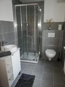 a bathroom with a shower and a toilet and a sink at Apartement “Heckeresje“ in Pfungstadt +4 photos