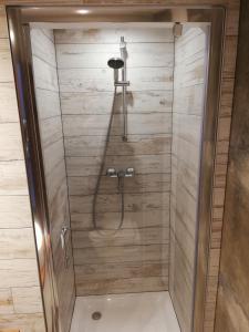 a shower in a bathroom with a glass door at Apartamenty Bydgostia in Bydgoszcz