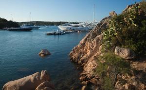 a group of boats are docked in a harbor at Hotel Il Piccolo Golf in Porto Cervo