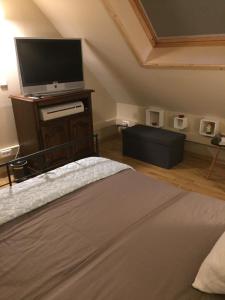 TV a/nebo společenská místnost v ubytování B&B T Pleintje
