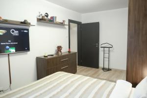 蒂米什瓦拉的住宿－Central Place Apartment Timisoara，一间卧室配有一张床和一台平面电视