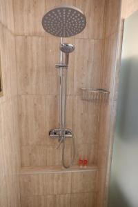 a shower with a shower head in a bathroom at Central Place Apartment Timisoara in Timişoara +25 photos