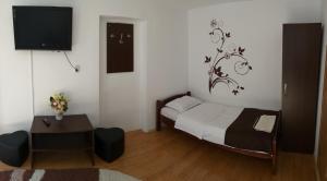 クルツィショアラにあるPensiunea Denisのベッドルーム1室(ベッド1台、壁掛けテレビ付)