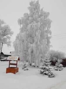 a bench in front of a tree covered in snow at Vacation home in Konstantinovo in Konstantinovo