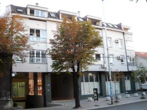 a white building with a tree in front of it at Residence Amelie in Belgrade
