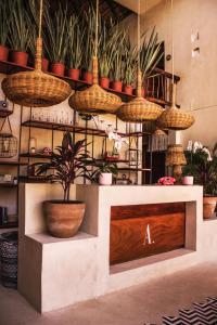 Fotografie z fotogalerie ubytování ALCOBAS DEL MAR v destinaci Ostrov Holbox