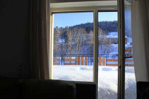 Apartamenty Doliny v zime