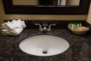 eine Badezimmertheke mit einem Waschbecken und einem Spiegel in der Unterkunft Tea Garden Lodge in South Lake Tahoe