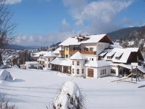 Wellness- und Wohlfühlhotel Waldeck during the winter