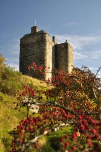 un castillo en la cima de una colina con flores rojas en Neidpath Castle Cottage, en Peebles