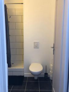 a bathroom with a toilet and a shower and a sink at The Cocooning in Tours