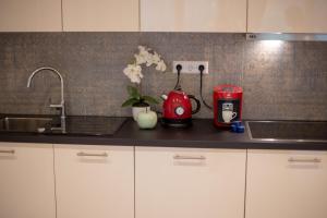 Küche/Küchenzeile in der Unterkunft Reichel-Appartements