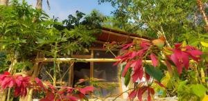 
a large garden with trees and plants in it at Minca Glamping in Minca
