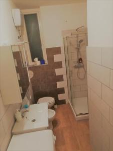 een badkamer met een wastafel, een toilet en een douche bij Comfortable and Friendly Apartment in Trieste +22 foto's