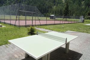 Stolní tenis v ubytování Monte Rosa D 412 nebo okolí