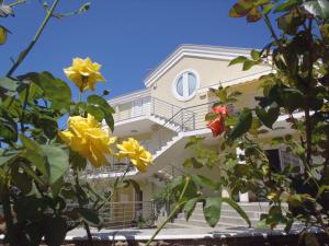 ein Gebäude mit Treppen und Blumen davor in der Unterkunft Villa Maestral Zadar in Zadar