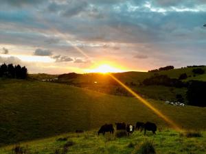 Gallery image of Creek Retreat in Warkworth