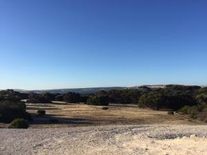 a view of a desert with trees and a blue sky at Wallaby Retreat in Kingscote
