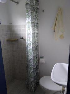 a bathroom with a shower with a toilet and a sink at Chalés Del'Minas in Passa Quatro