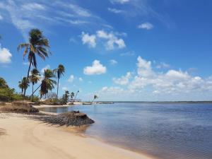 una spiaggia con palme e l'oceano in una giornata di sole di Condomínio Resort Villa das Águas a Estância