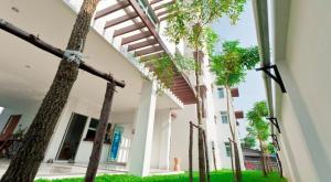 a row of palm trees in front of a building at The Meet Green Apartment in Bangkok