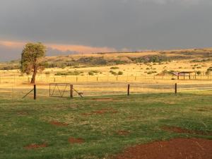 a field with a fence and a tree in the distance at Sanctuary Life Guest Farm in Magaliesburg