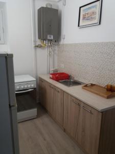 Il comprend une cuisine équipée d'un évier et d'une cuisinière. dans l'établissement Charming downtown studio, à Braşov