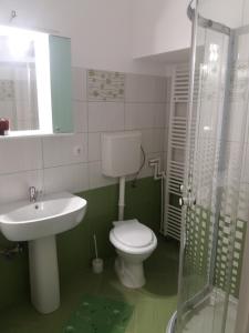 La salle de bains est pourvue de toilettes, d'un lavabo et d'une douche. dans l'établissement Charming downtown studio, à Braşov