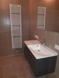 ein Badezimmer mit einem weißen Waschbecken und einem Spiegel in der Unterkunft BedStay41 in Oudewater