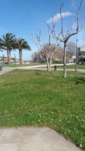 A garden outside Península de la paz