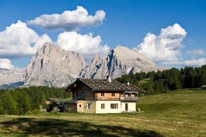 a house in a field with mountains in the background at Appartements Karbon in Seiser Alm